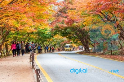 Naejangsan,korea - November 1: Tourists Taking Photos Of The Beautiful Scenery Around Naejangsan Park,south Korea During Autumn Season On November 1, 2015 Stock Photo