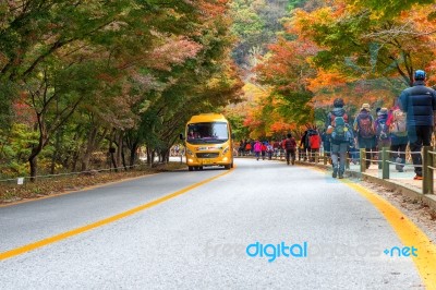 Naejangsan,korea - November 1: Tourists Taking Photos Of The Beautiful Scenery Around Naejangsan Park,south Korea During Autumn Season On November 1, 2015 Stock Photo