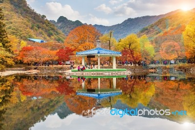 Naejangsan,korea - November 1: Tourists Taking Photos Of The Beautiful Scenery Around Naejangsan Park,south Korea During Autumn Season On November 1, 2015 Stock Photo