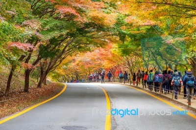 Naejangsan,korea - November 1: Tourists Taking Photos Of The Beautiful Scenery Around Naejangsan Park,south Korea During Autumn Season On November 1, 2015 Stock Photo