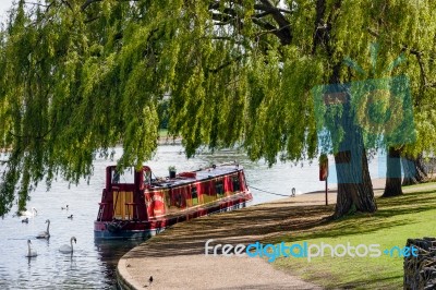 Narrow Boat Moored Under A Willow Tree In Windsor Stock Photo