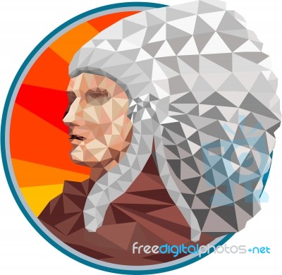 Native American Indian Chief Warrior Low Polygon Stock Image