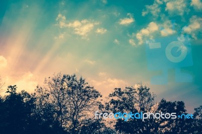 Natural Background Blurring With Sun Rays. Outdoors Stock Photo