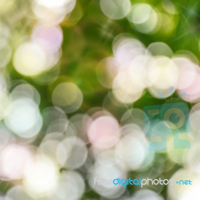 Natural Bokeh Blur. Abstract Nature Background Stock Photo