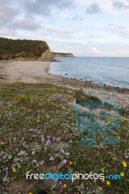 Natural Coastline Of Algarve Stock Photo