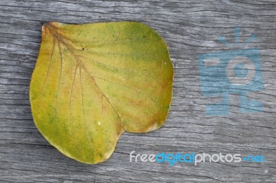 Natural Color Heart Shape Leaf Stock Photo