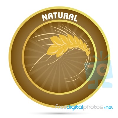 Natural Grain Stock Image