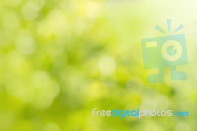 Natural Green Bright Blur Defocused Stock Photo