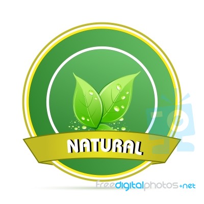 Natural Leaves Stock Image