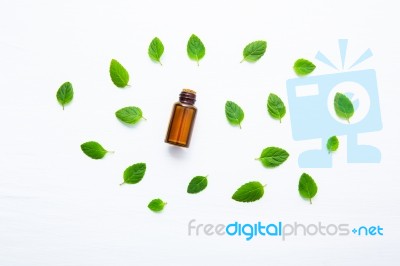 Natural Mint Essential Oil In A Glass Bottle With Fresh Mint Lea… Stock Photo