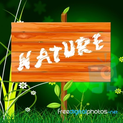 Natural Nature Means Rural Green And Genuine Stock Image