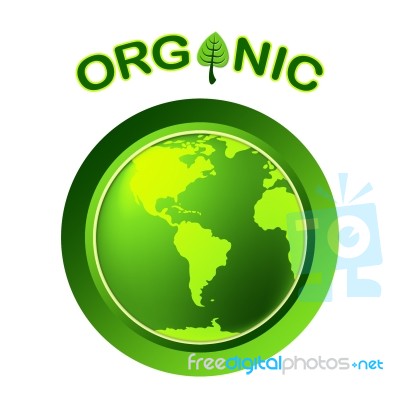 Natural Organic Represents Globalisation Worldwide And Trees Stock Image