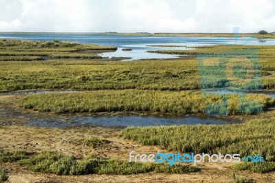 Natural Ria Formosa Marshlands Stock Photo