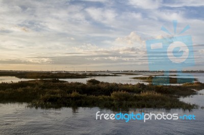 Natural Ria Formosa Marshlands Stock Photo