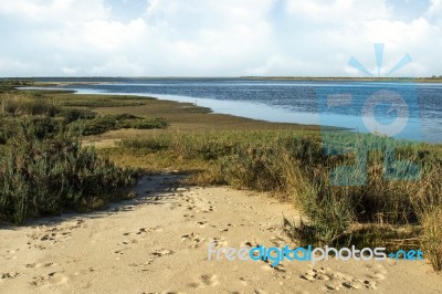 Natural Ria Formosa Marshlands Stock Photo