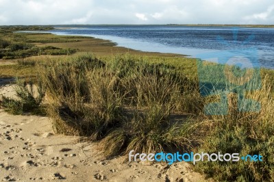 Natural Ria Formosa Marshlands Stock Photo