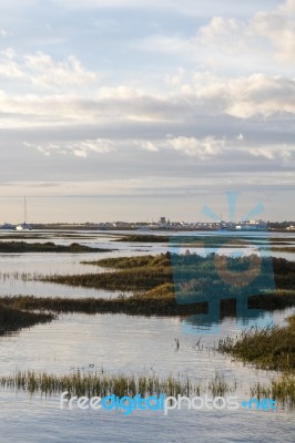 Natural Ria Formosa Marshlands Stock Photo