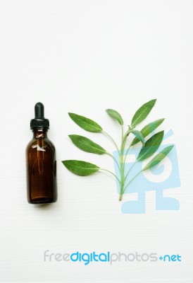 Natural Sage Essential Oil With Sage Leaves On White  Background… Stock Photo