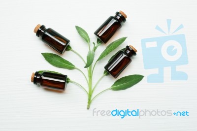 Natural Sage Essential Oil With Sage Leaves On White  Background… Stock Photo