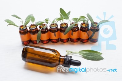 Natural Sage Essential Oil With Sage Leaves On White  Background… Stock Photo