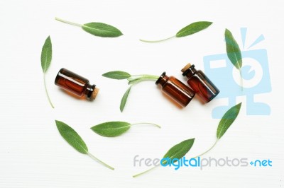 Natural Sage Essential Oil With Sage Leaves On White  Background… Stock Photo