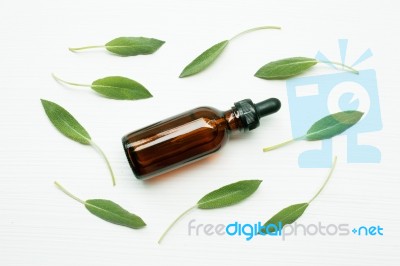 Natural Sage Essential Oil With Sage Leaves On White  Background… Stock Photo