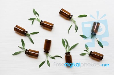 Natural Sage Essential Oil With Sage Leaves On White  Background… Stock Photo