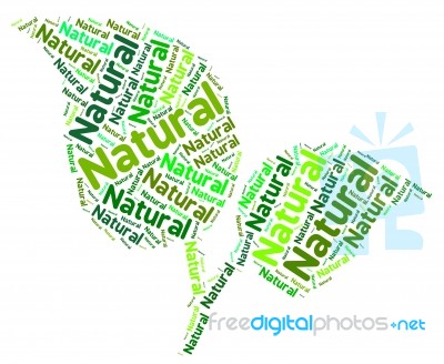 Natural Word Means Bio Rural And Environment Stock Image