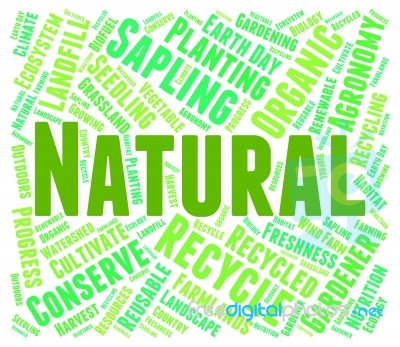 Natural Word Represents Genuine Untreated And Environmental Stock Image