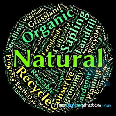 Natural Word Shows Pure Tree And Genuine Stock Image