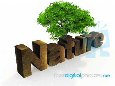 Nature Stock Image