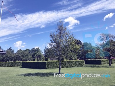 Nature And Flowers In The Park Stock Photo