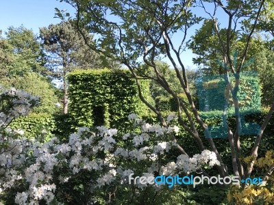 Nature And Flowers In The Park Stock Photo