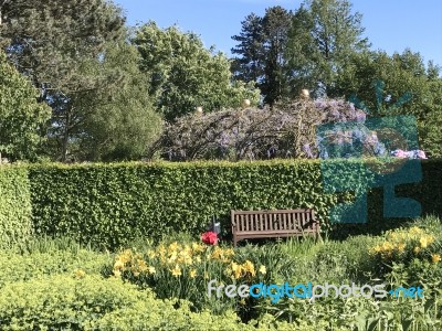 Nature And Flowers In The Park Stock Photo