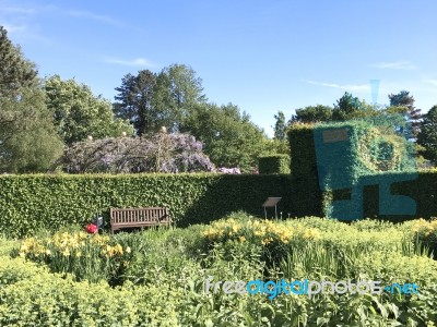 Nature And Flowers In The Park Stock Photo