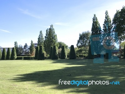 Nature And Flowers In The Park Stock Photo