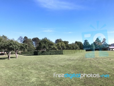 Nature And Flowers In The Park Stock Photo