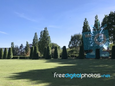 Nature And Flowers In The Park Stock Photo