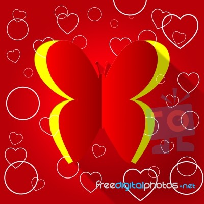 Nature Butterflies Indicates Valentine Day And Animals Stock Image