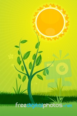 Nature Card With Sun Stock Image