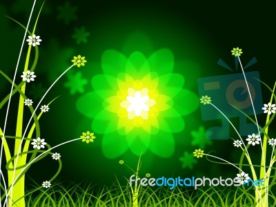 Nature Floral Shows Light Burst And Dazzling Stock Image