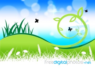 Nature Grass Indicates Meadow Green And Field Stock Image