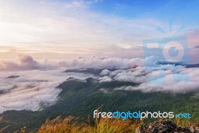 Nature In Sunrise On Mountain, Thailand Stock Photo