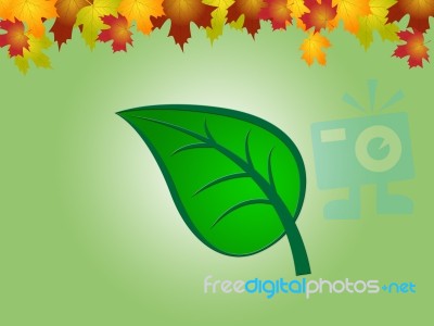 Nature Leaves Indicates Earth Day And Countryside Stock Image