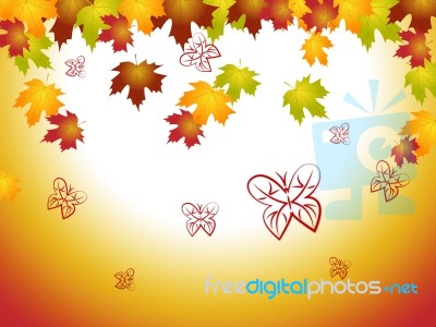 Nature Leaves Shows Autumn Countryside And Environment Stock Image