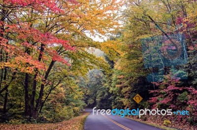 Nature Scenes On Blue Ridge Parkway Great Smoky Mountains Stock Photo