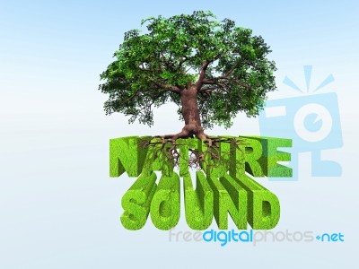 Nature Sound Stock Image