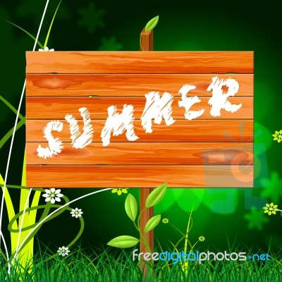 Nature Summer Represents Outdoors Rural And Natural Stock Image