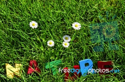 Nature Text On Grass Stock Photo