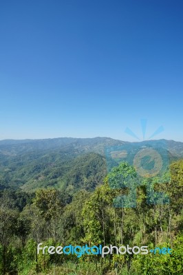 Nature View Mountain, Forest And Blue Sky Stock Photo